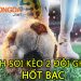 Kèo 2 đội ghi bàn là gì? 4 cách soi kèo 2 đội ghi bàn hốt bạc nhà cái