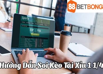 tai-xiu-1-1-4-la-sao