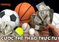ca-cuoc-the-thao-truc-tuyen
